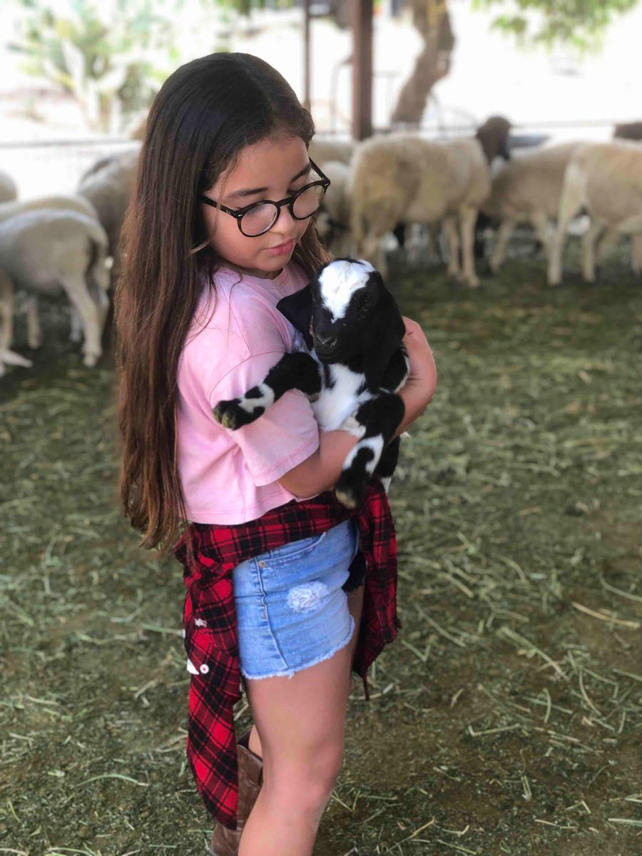 Review Thumbnail Image 1 198051954