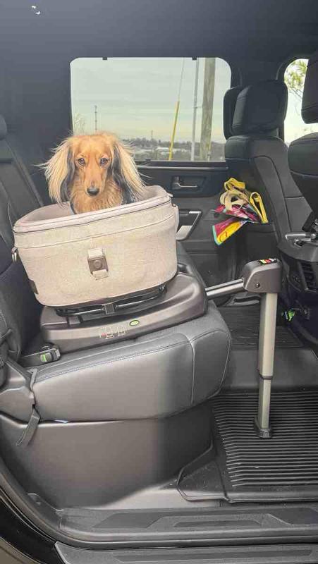 Review Thumbnail Image 1 239522911