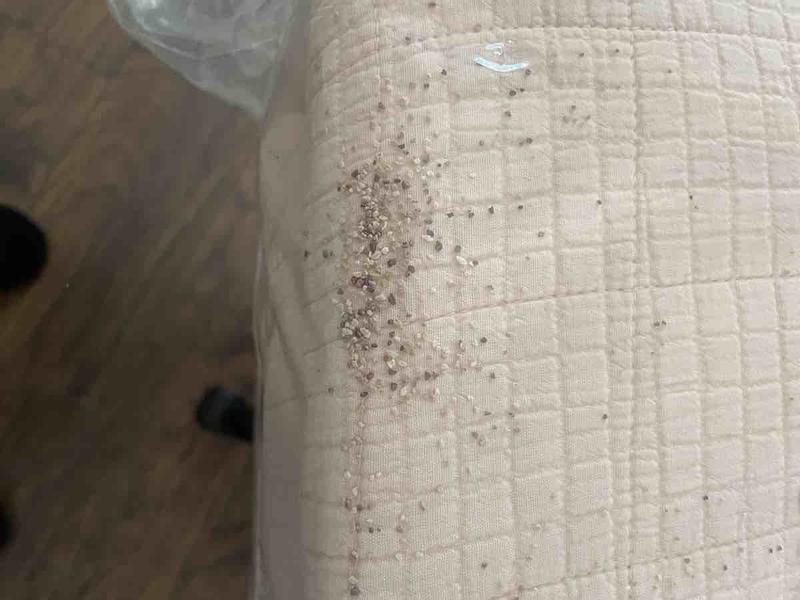 Review Thumbnail Image 0 241600762