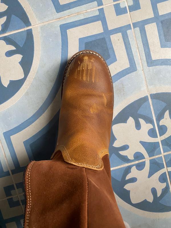 Review Thumbnail Image 1 214520270