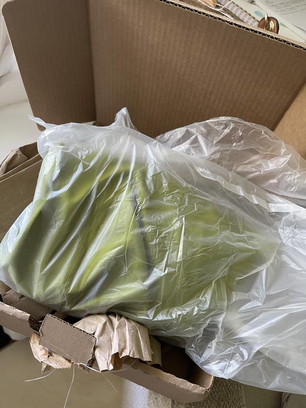 Review Thumbnail Image 5 248889240