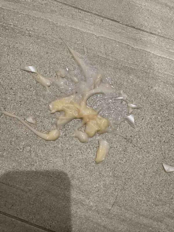 Review Thumbnail Image 1 240846386