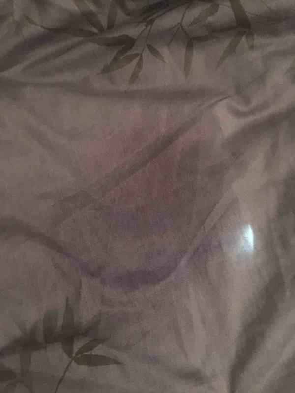 Review Thumbnail Image 0 218302739