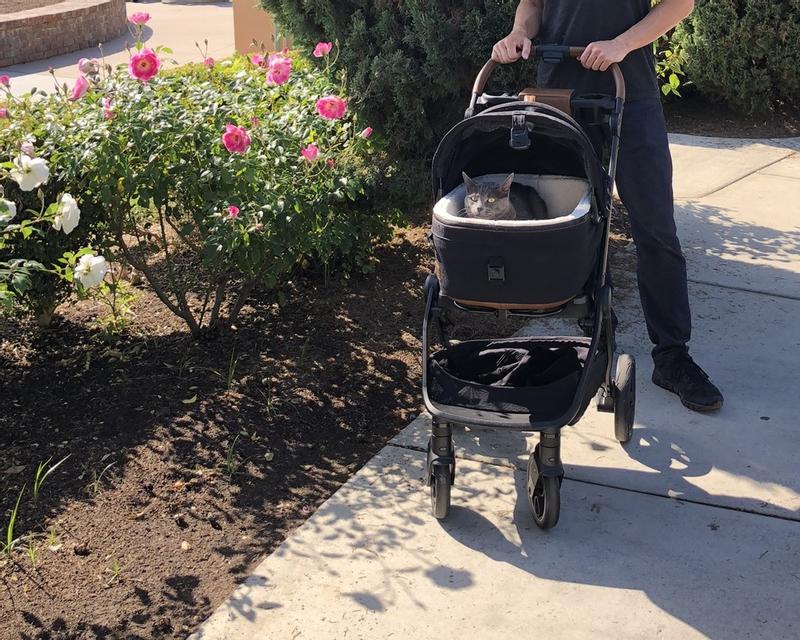 Review Thumbnail Image 0 241679112