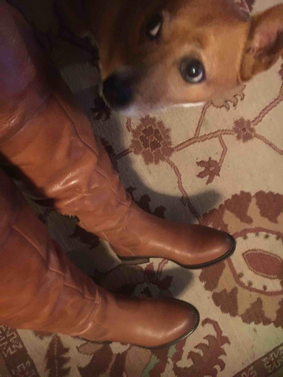 Review Thumbnail Image 0 203309077