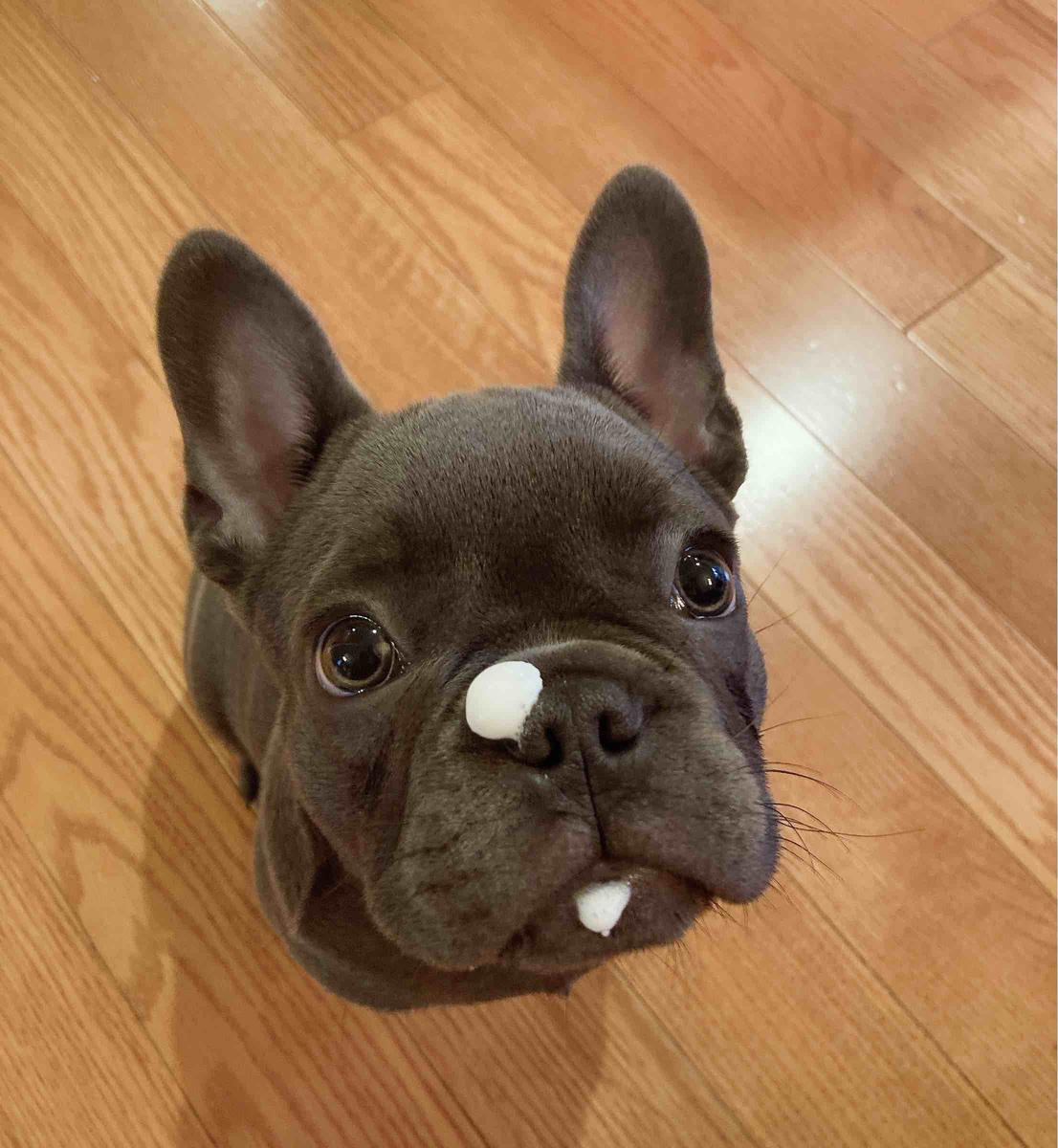 Review Thumbnail Image 0 203223191