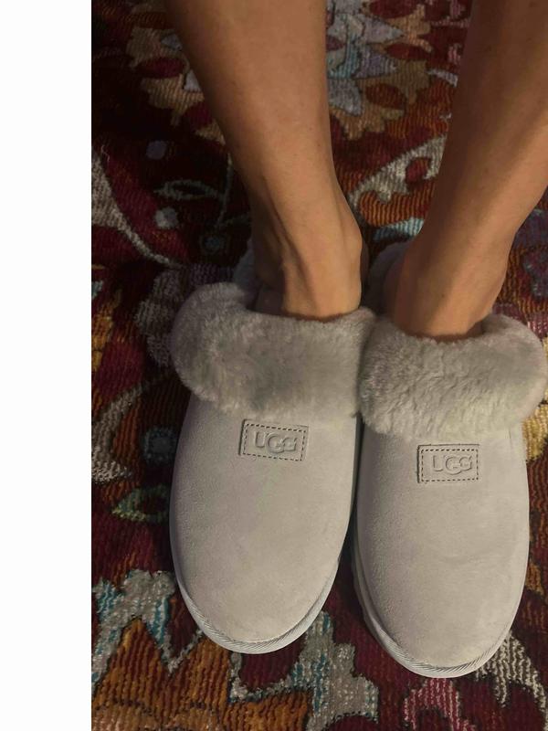 Best everywhere Slipper