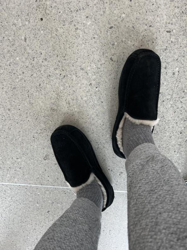 Literally wearing them on planes, so comfortable!