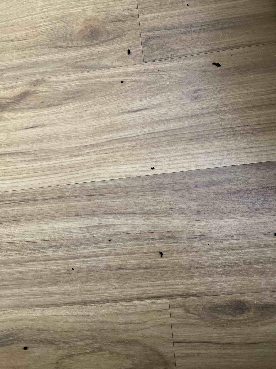 Review Thumbnail Image 0 209077068