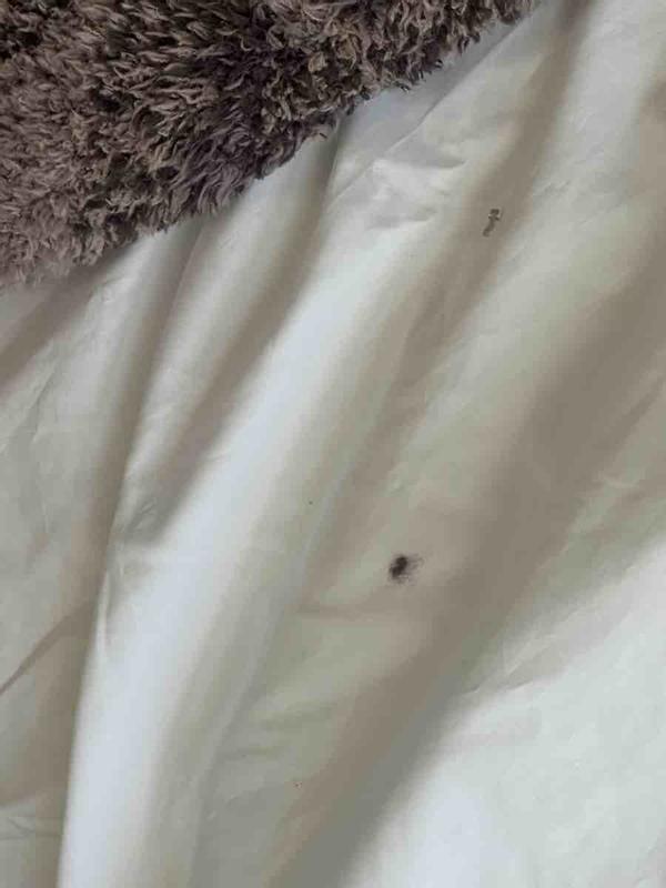 Review Thumbnail Image 0 245574906