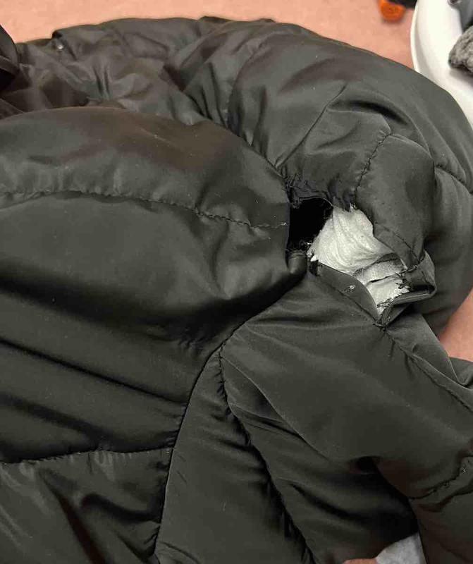 Review Thumbnail Image 1 223920568