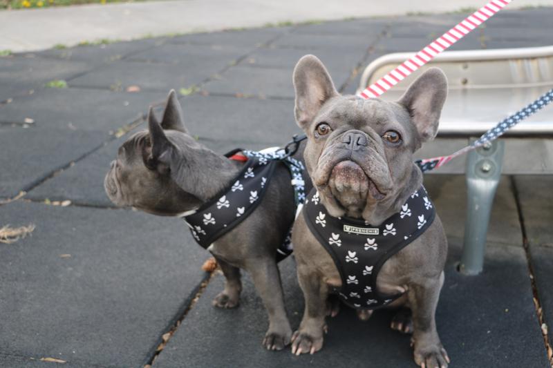 Review Thumbnail Image 1 237696998