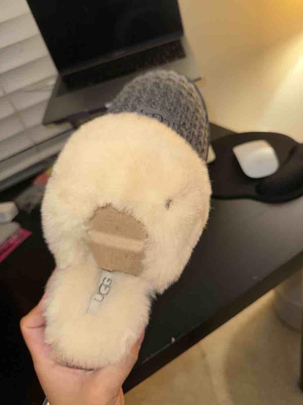 Customer photo for "DEAD BUG IN FUR"