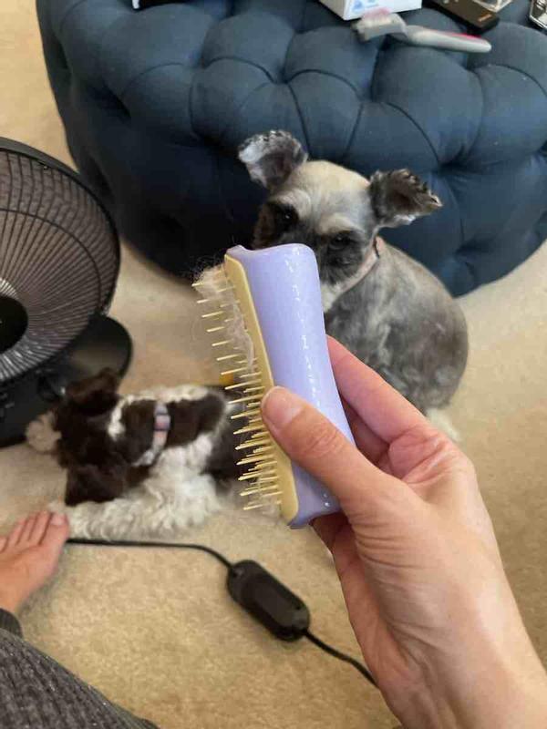 Review Thumbnail Image 0 229474114