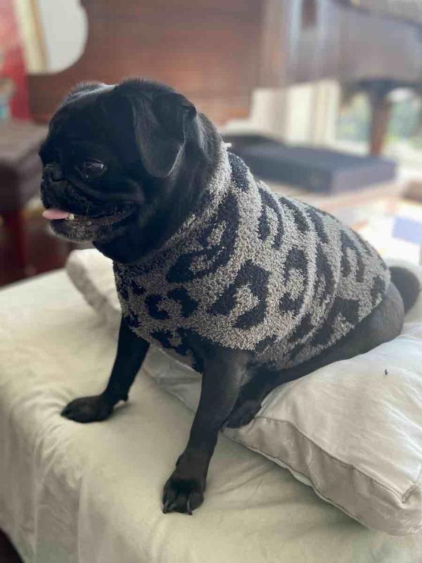 Favorite Stylish Sweater