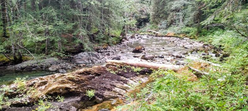 Review Thumbnail Image 0 248810197