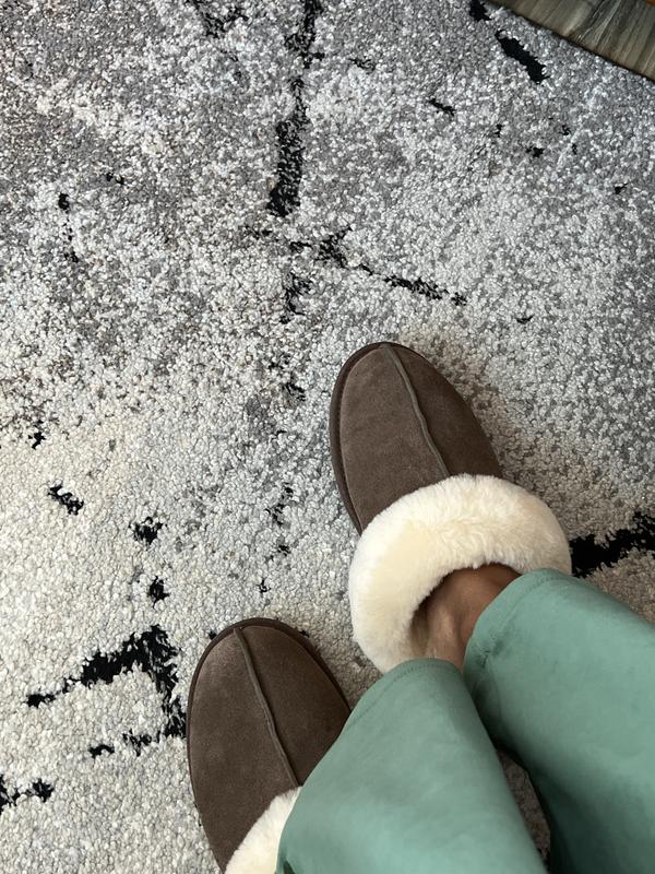 Amazing house slippers