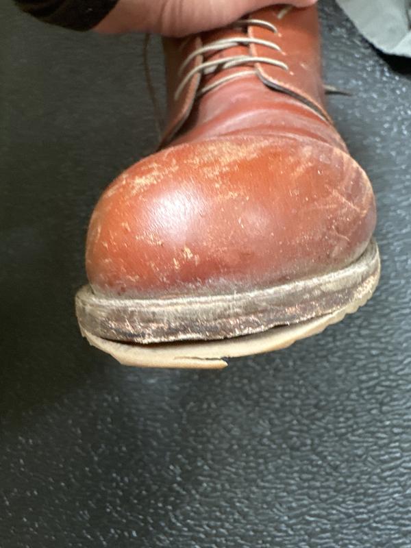 Review Thumbnail Image 0 226904004