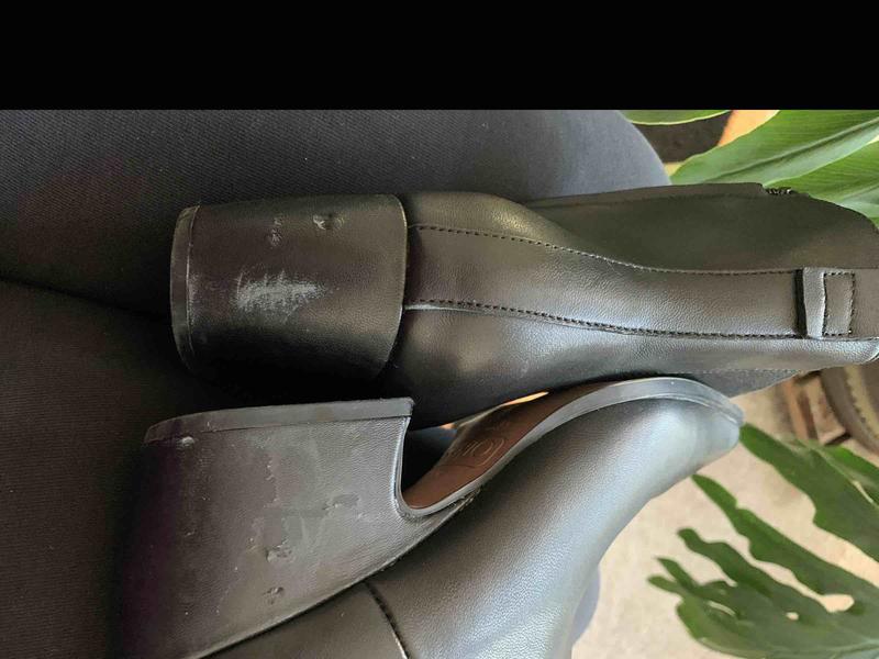 Review Thumbnail Image 0 238441358