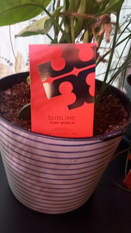 Customer photo for "Sublime by Tory Burch"