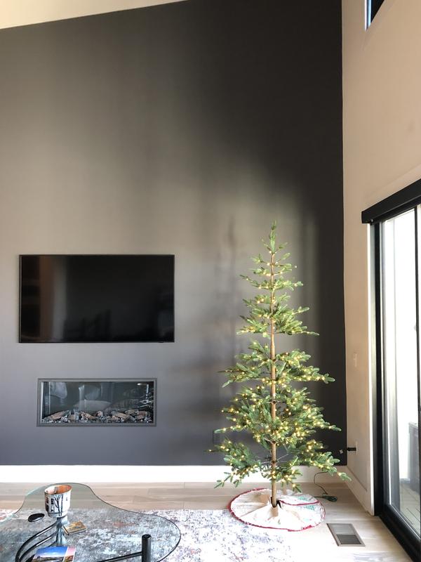 Review Thumbnail Image 0 229572265