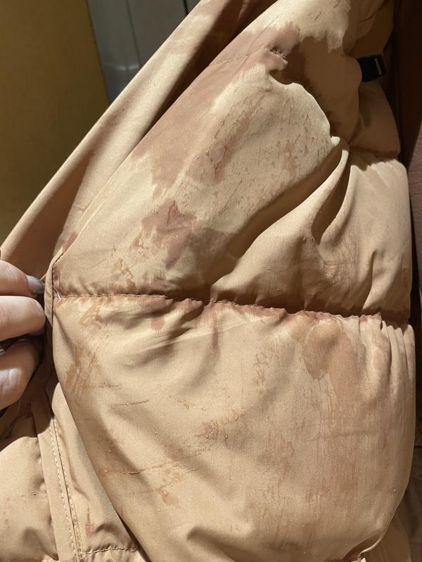 Review Thumbnail Image 0 229915377