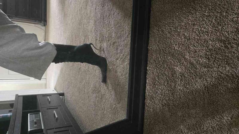 Review Thumbnail Image 1 247972567