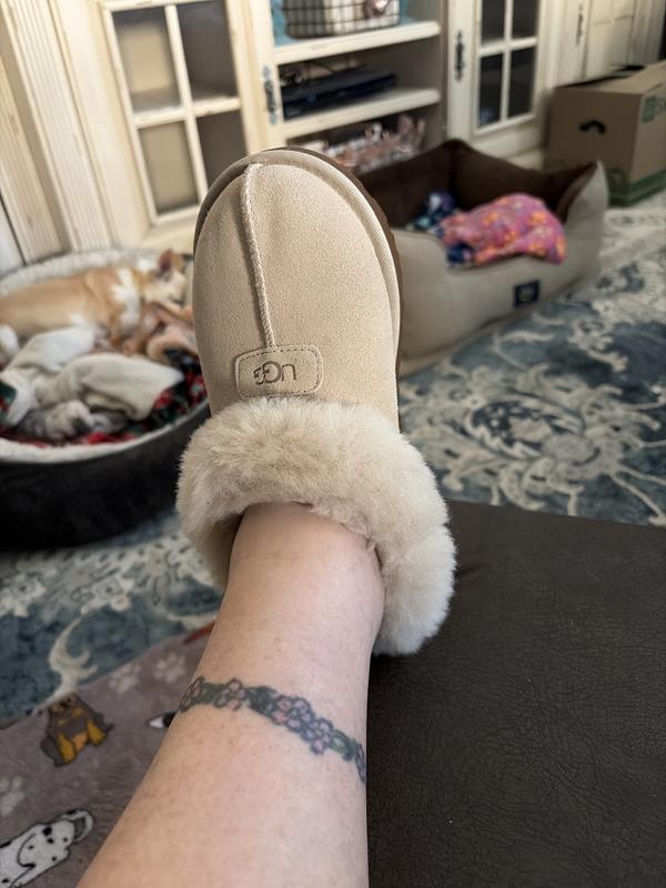 Customer photo for "Have bought three times"