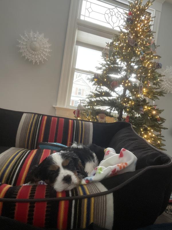 Review Thumbnail Image 0 222033395