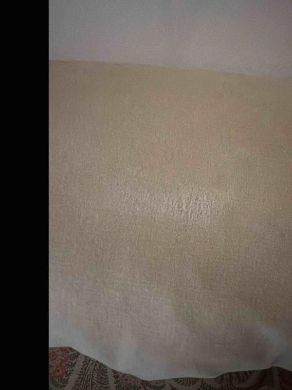 Review Thumbnail Image 1 247244874