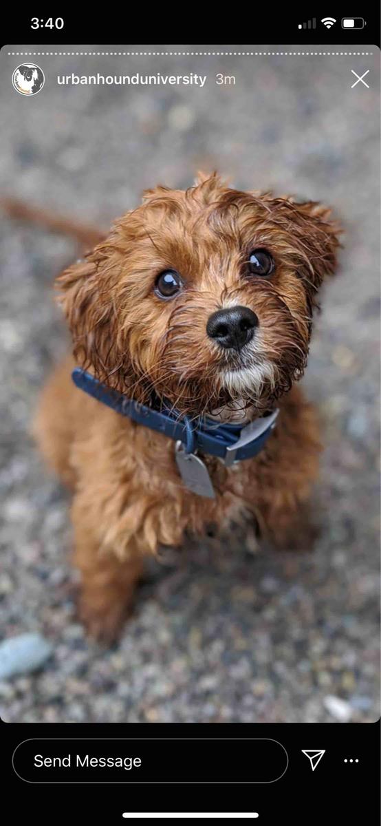 Review Thumbnail Image 0 199696739