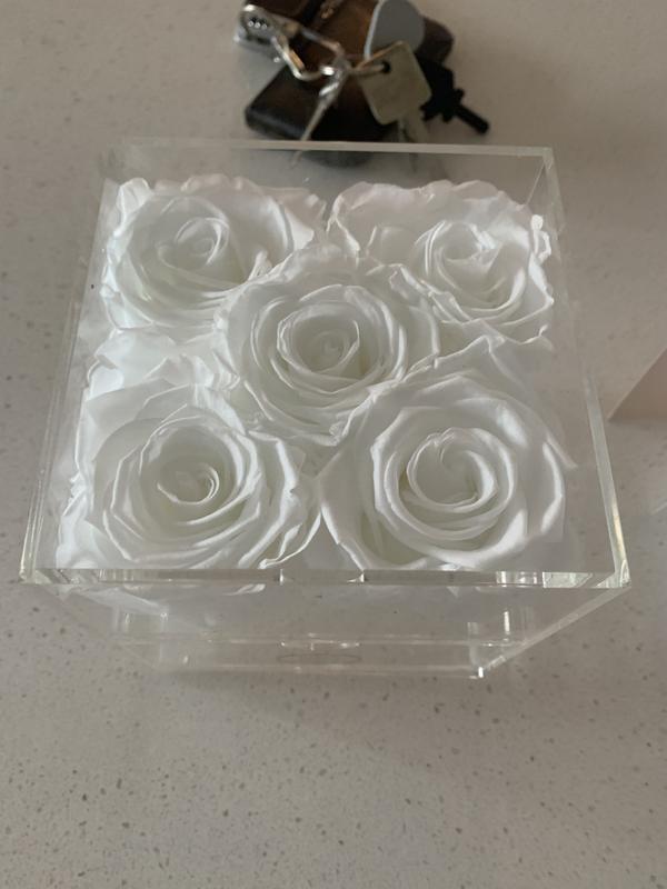 Review Thumbnail Image 0 217181453