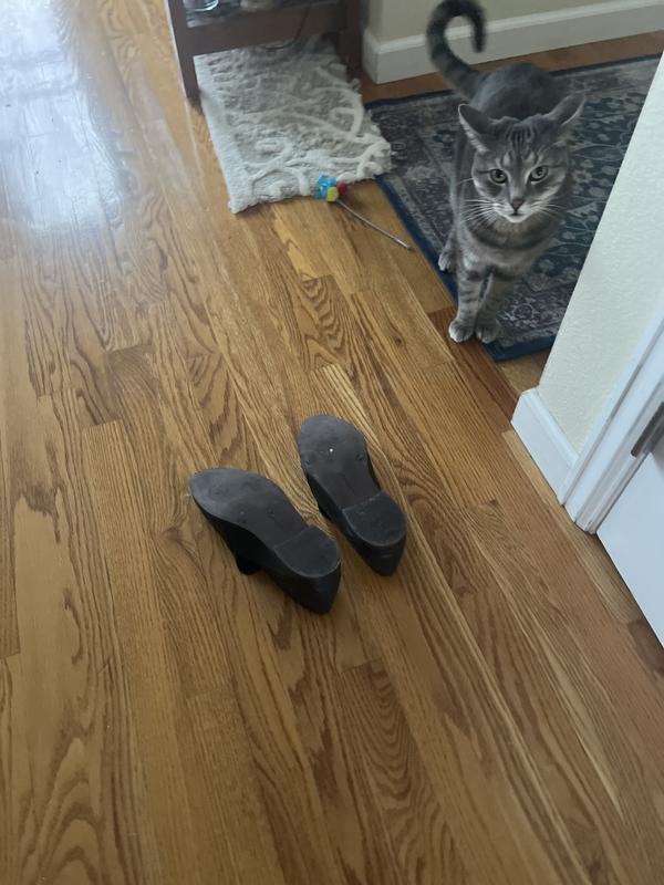 Review Thumbnail Image 2 239667266