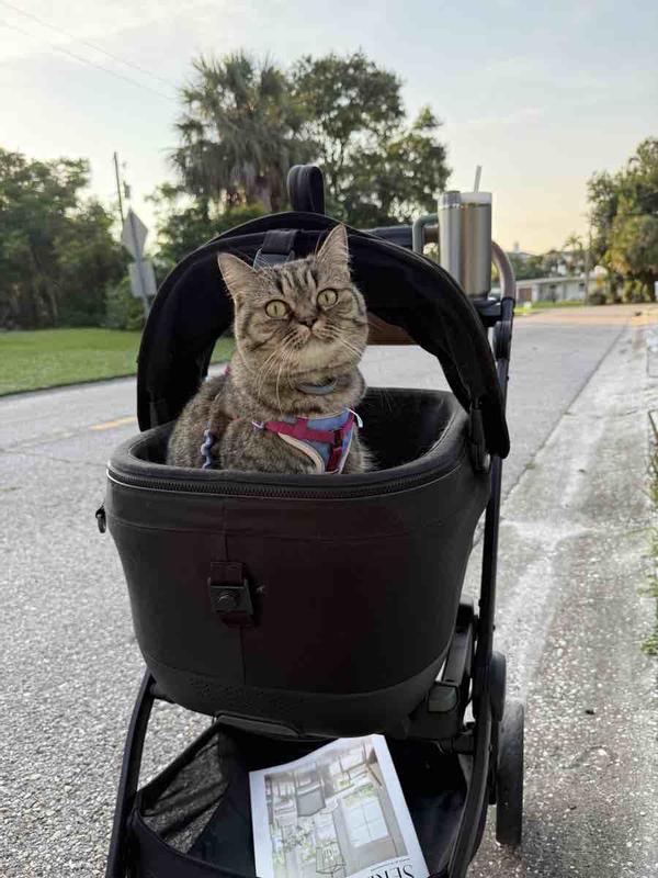 Review Thumbnail Image 0 244391890