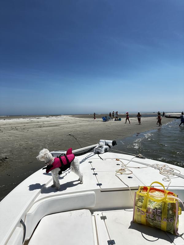 Review Thumbnail Image 1 225319763