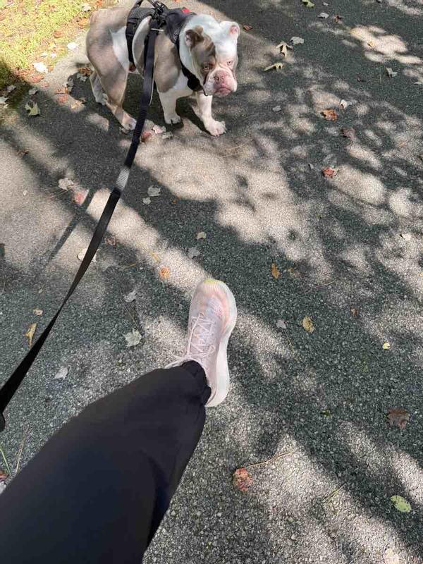 Review Thumbnail Image 0 244998411