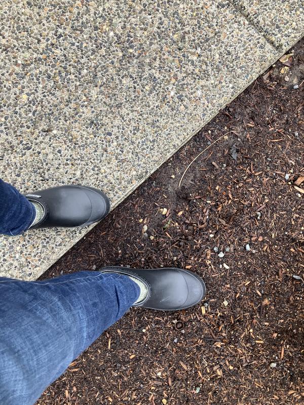 Review Thumbnail Image 1 232228476