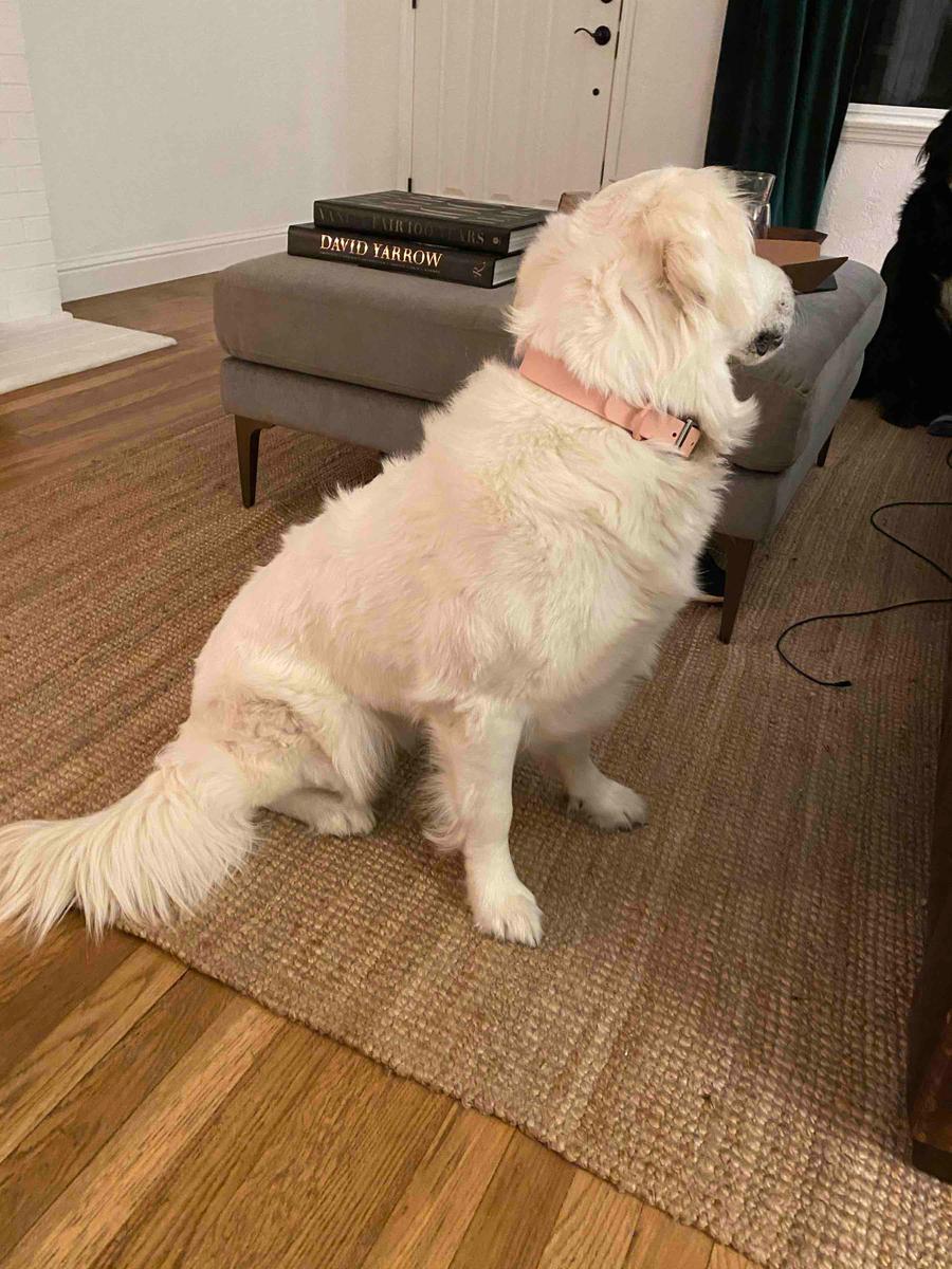 Review Thumbnail Image 1 194990359