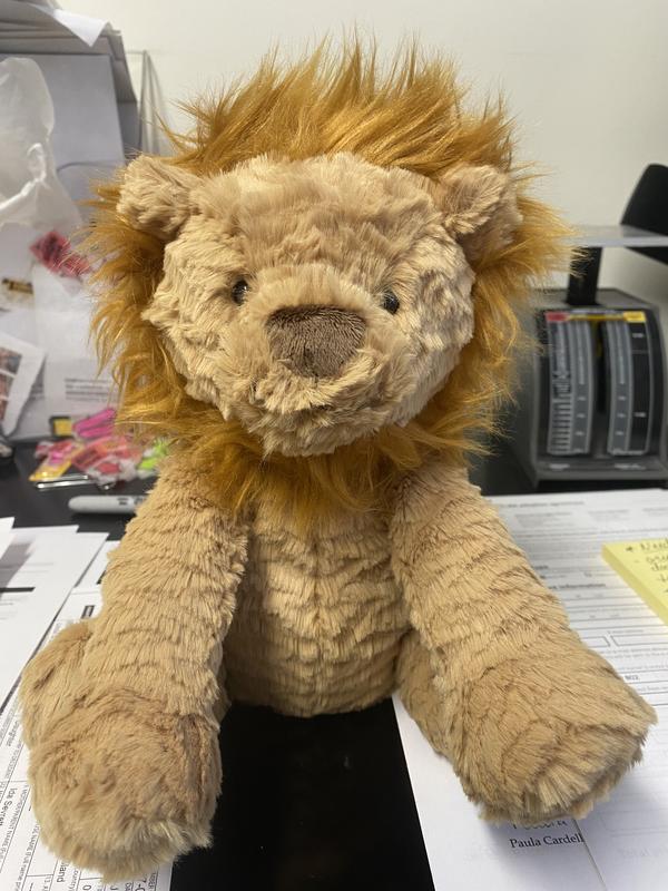 Customer photo for "What a cute lion"
