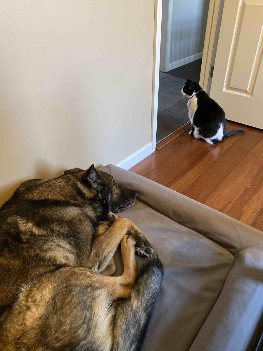 Review Thumbnail Image 0 205938618