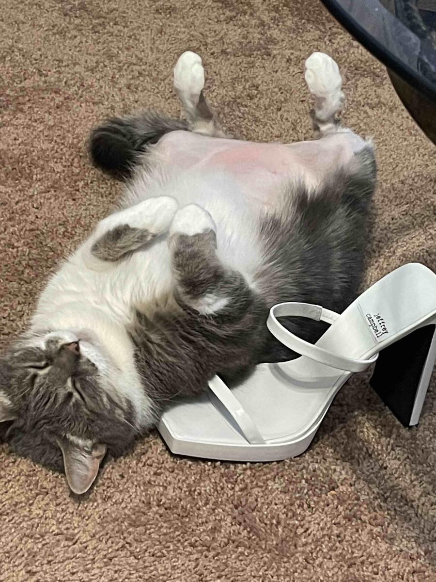 Review Thumbnail Image 0 208155927