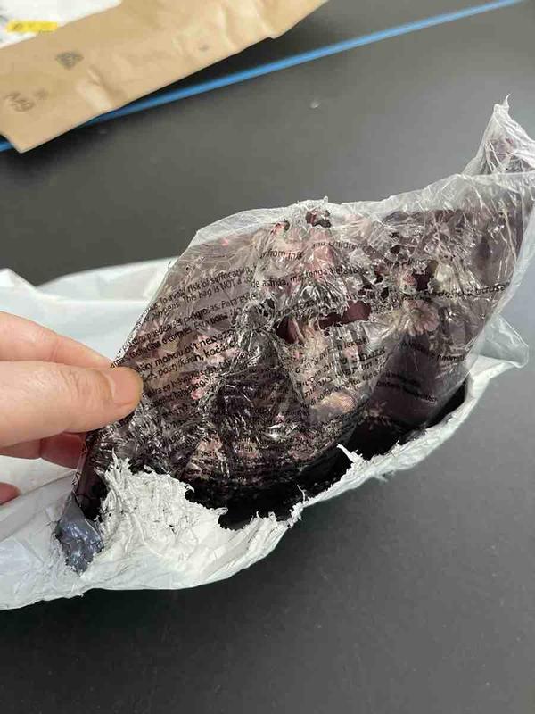 Review Thumbnail Image 1 241677282