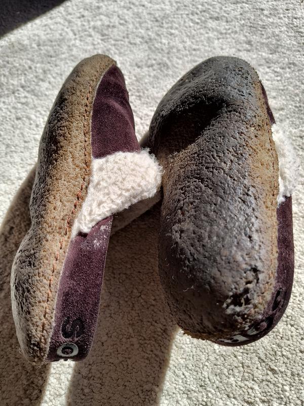 Review Thumbnail Image 0 236873125