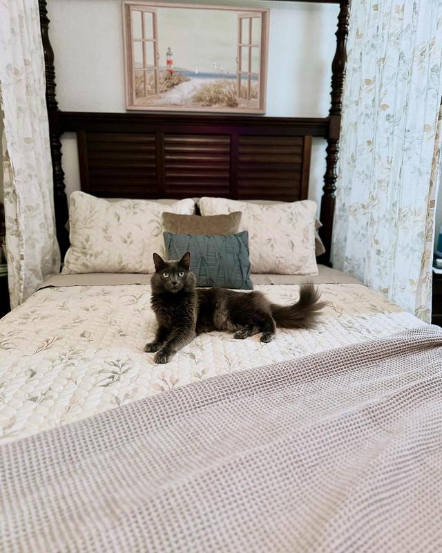 Customer photo for "Luxurious Throw"