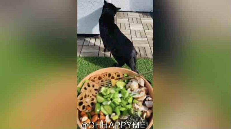 Review Thumbnail Image 0 214098152