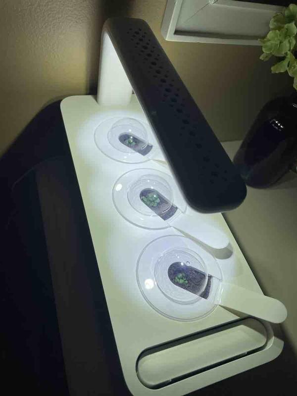 Customer photo for "Excellent gift - I love this thing!!"