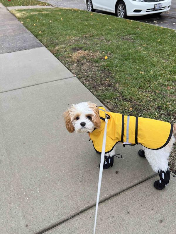 Review Thumbnail Image 0 212325967