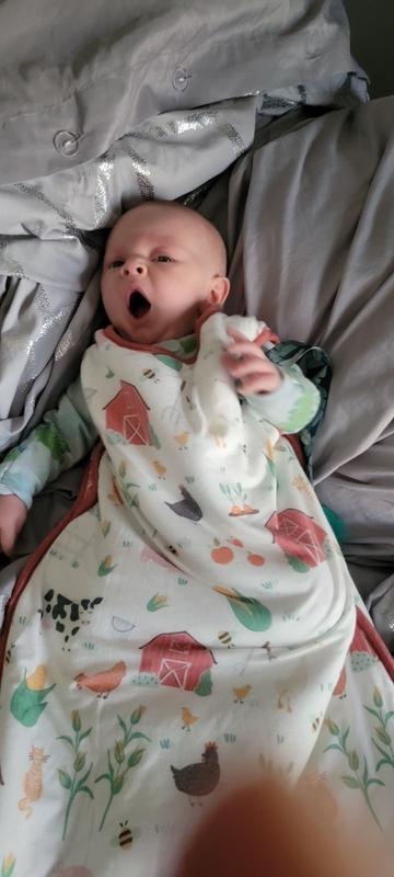 Review Thumbnail Image 0 237406084