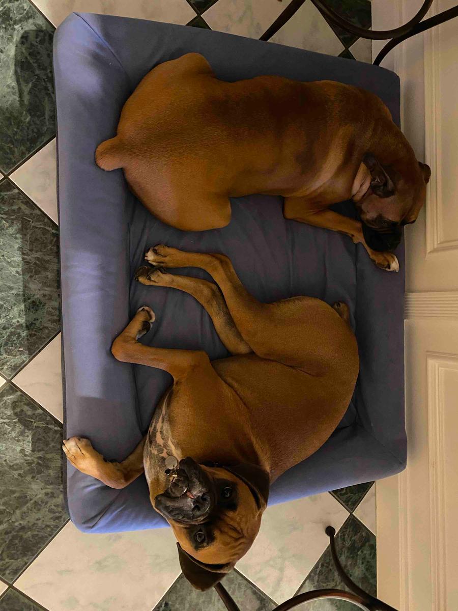 Review Thumbnail Image 0 197116619