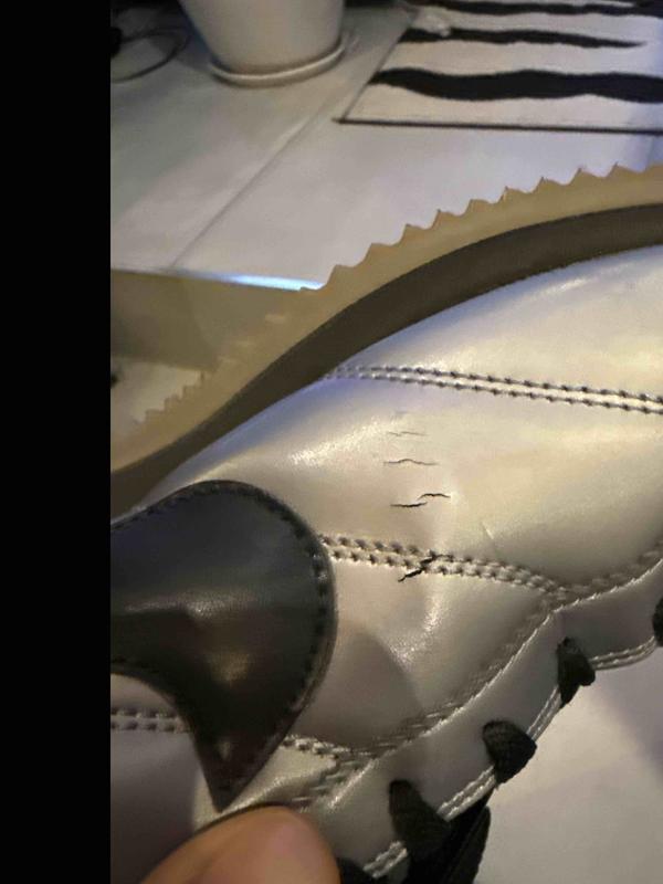 Review Thumbnail Image 0 238810947